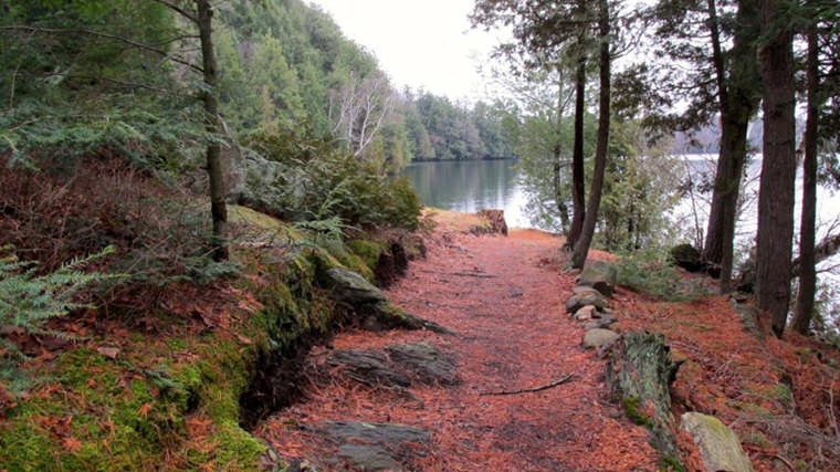 Limberlost Forest & Wildlife Reserve
