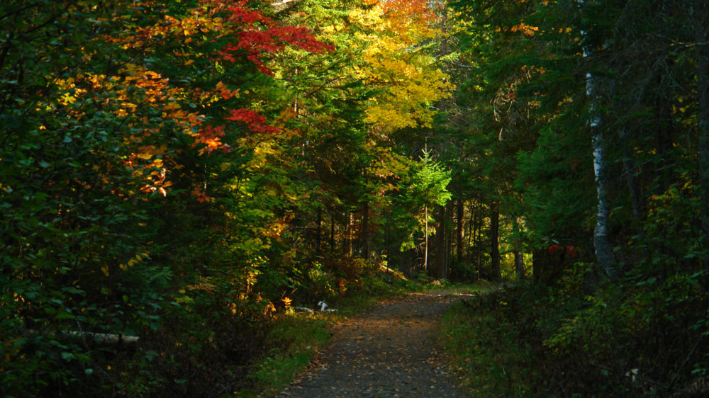 Algonquin Outfitters & Old Railway Bike Trail