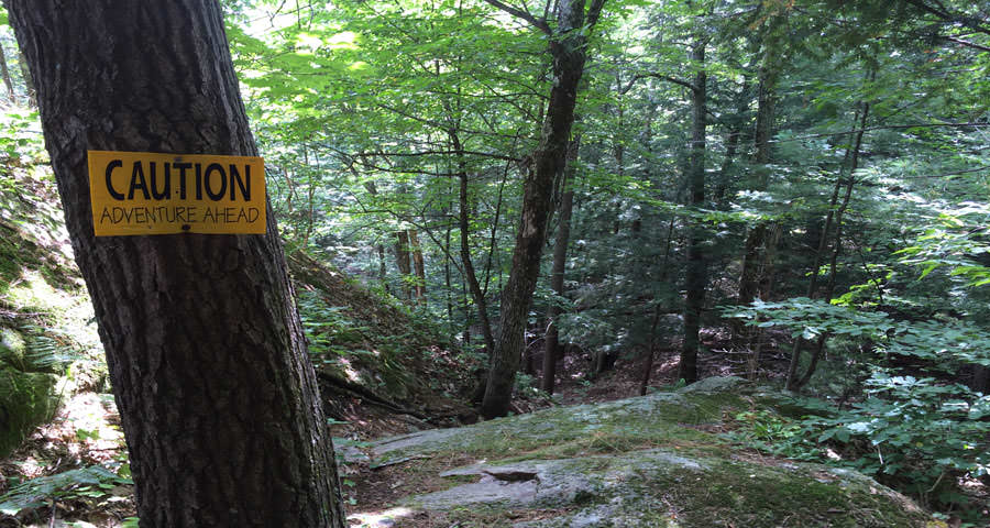 Porcupine Ridge