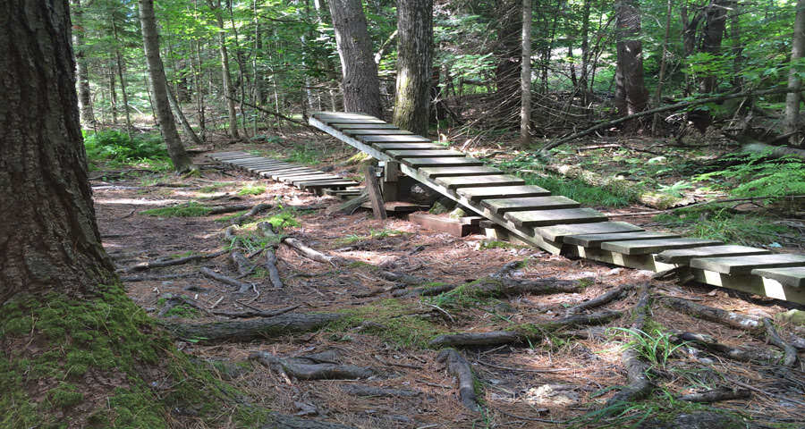 Porcupine Ridge