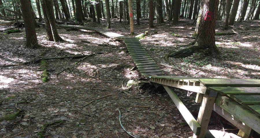Porcupine Ridge