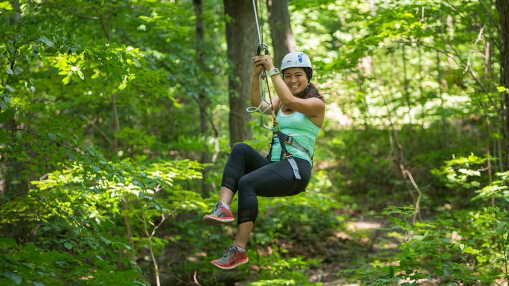 Zip Line and Aerial Parks