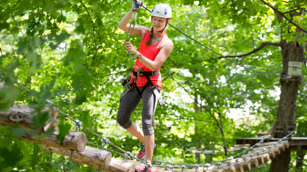 Explore the Forest Canopy During a Treetop Adventure