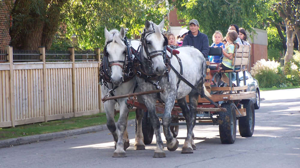 Twin Maples Farm