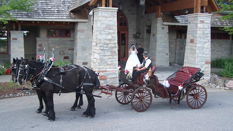 Twin Maples Farm