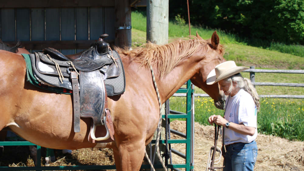 Winding Fences Farm