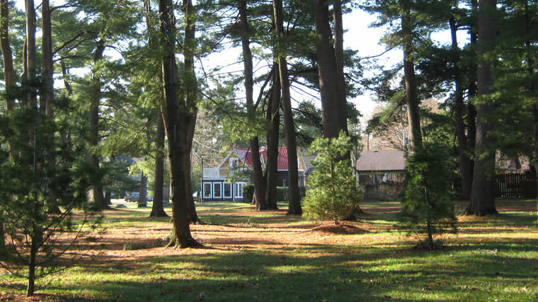 Four Ninety Muskoka B and B
