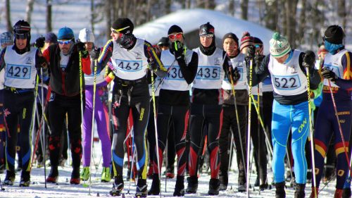 A few fun things to do in Muskoka