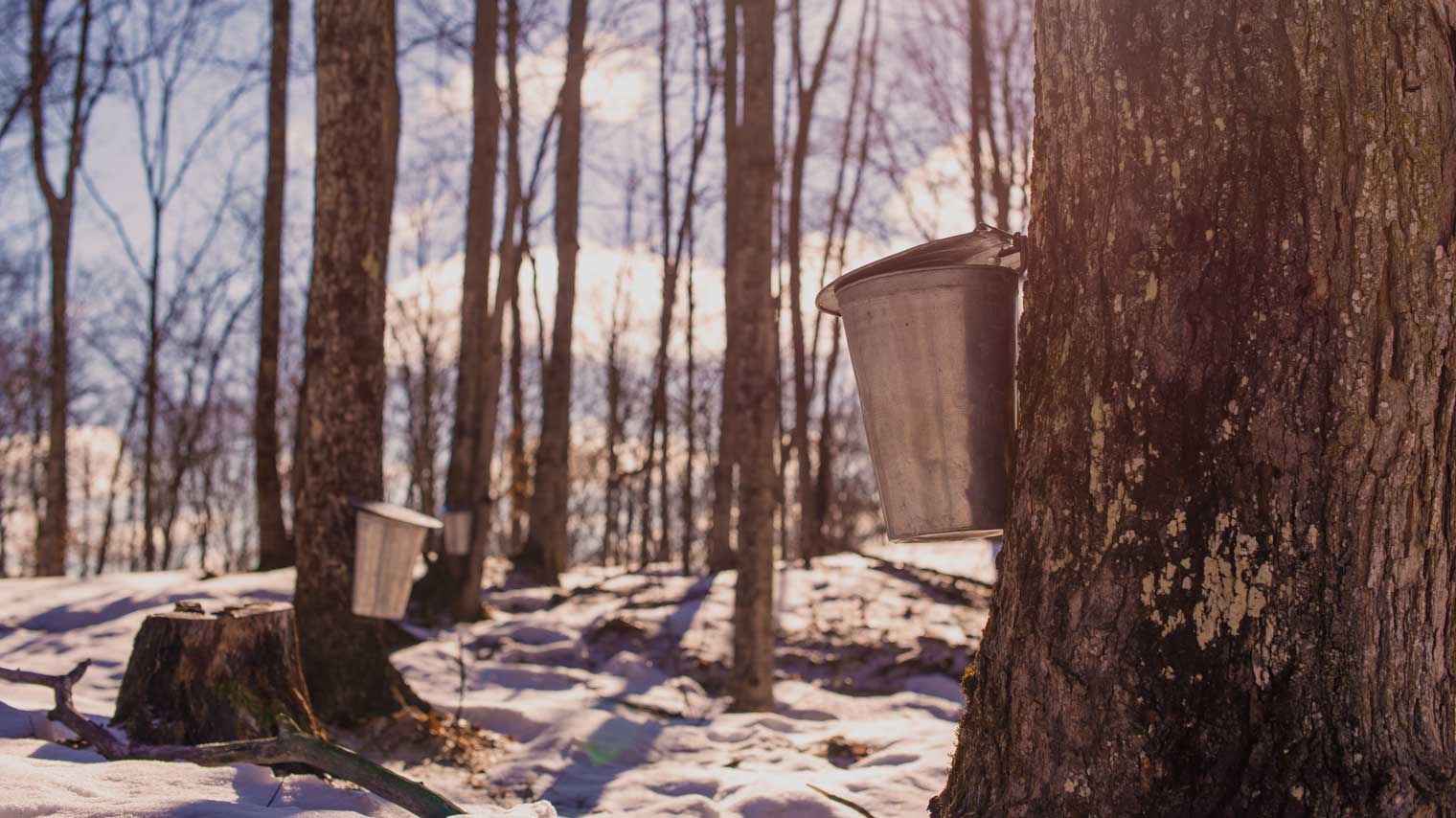 Things to do on the March Break, March 10 &#8211; 19, 2023