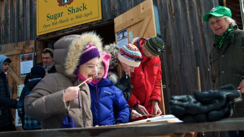 A few fun things to do in Muskoka