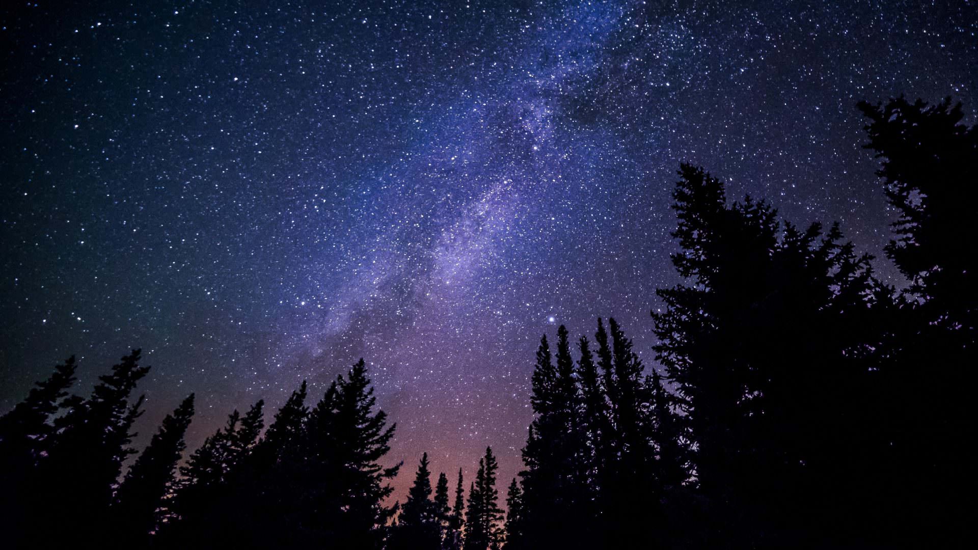 Camping, Glamping &#038; RV Parks