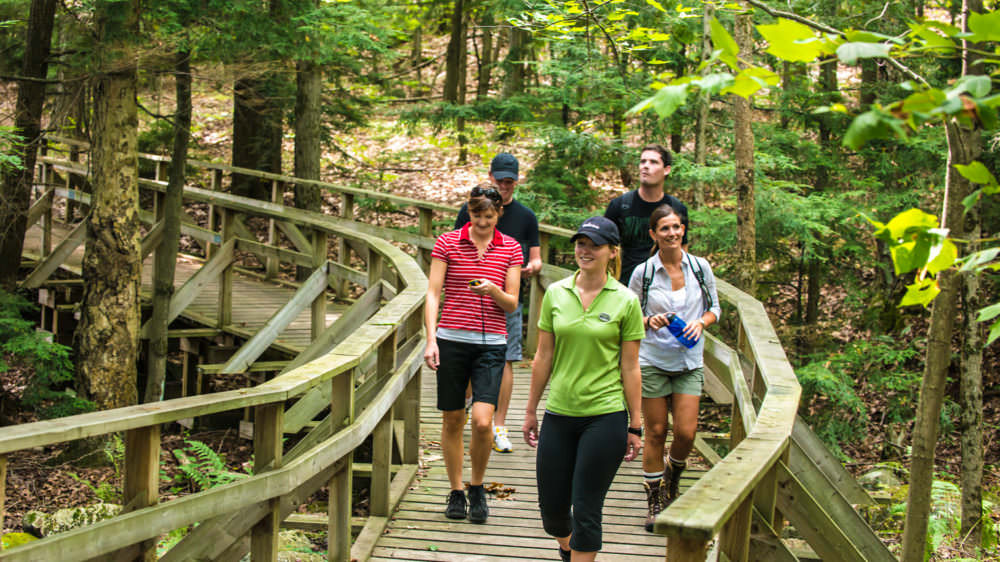 Hiking Trails