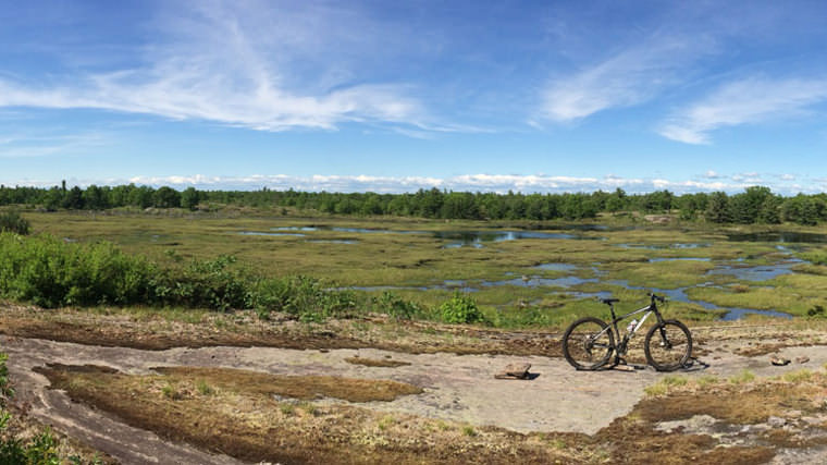 Torrance Barrens