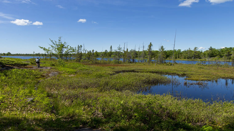 Torrance Barrens