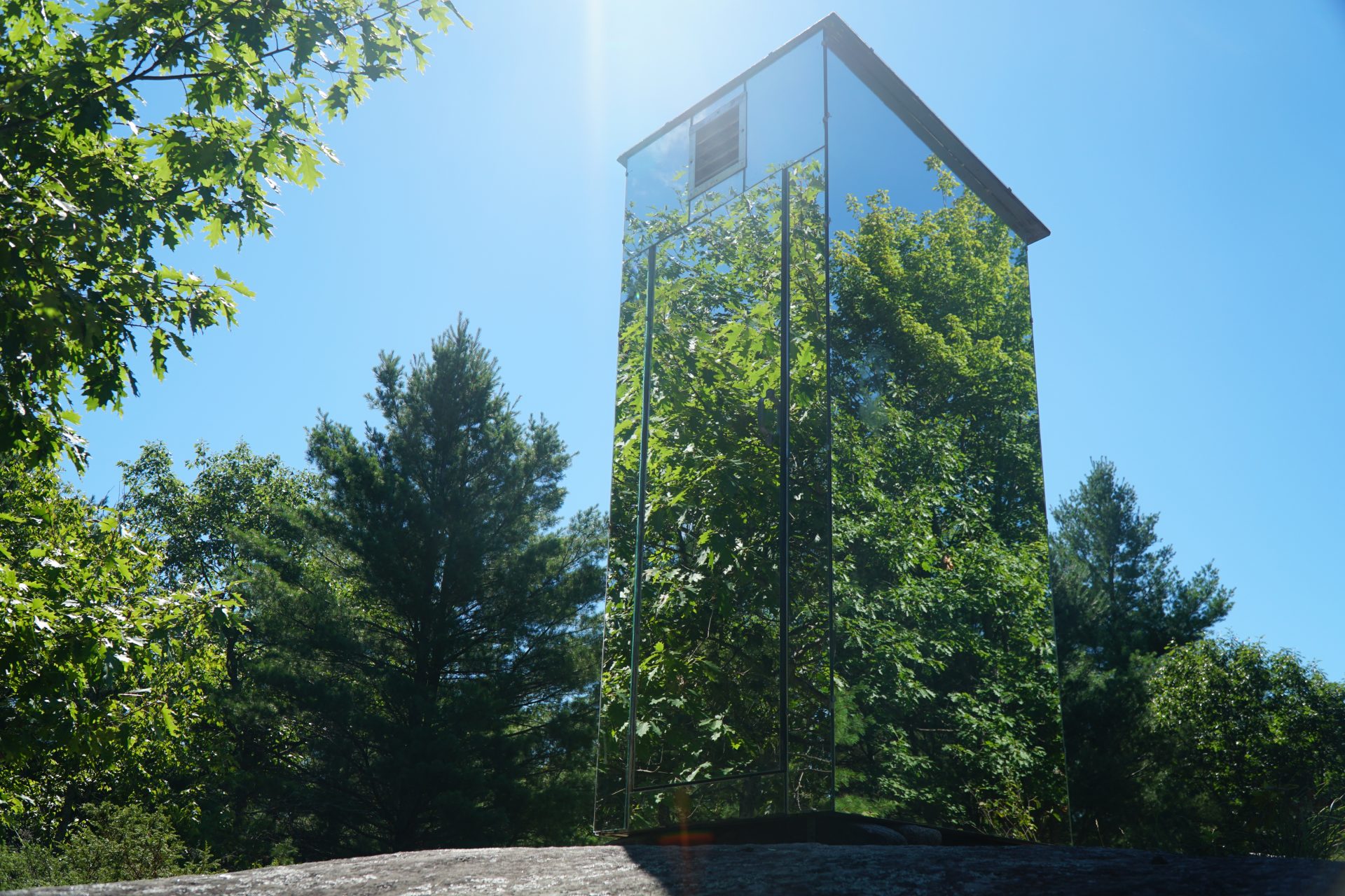mirror tree
