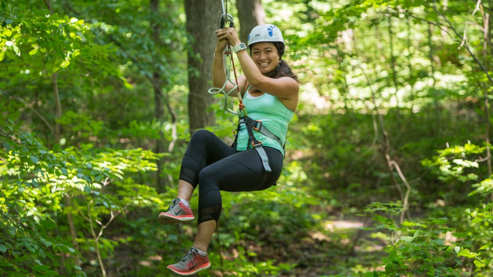Explore the Forest Canopy During a Treetop Adventure