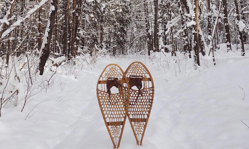 Muskoka: The Snowshoeing Capital of Ontario