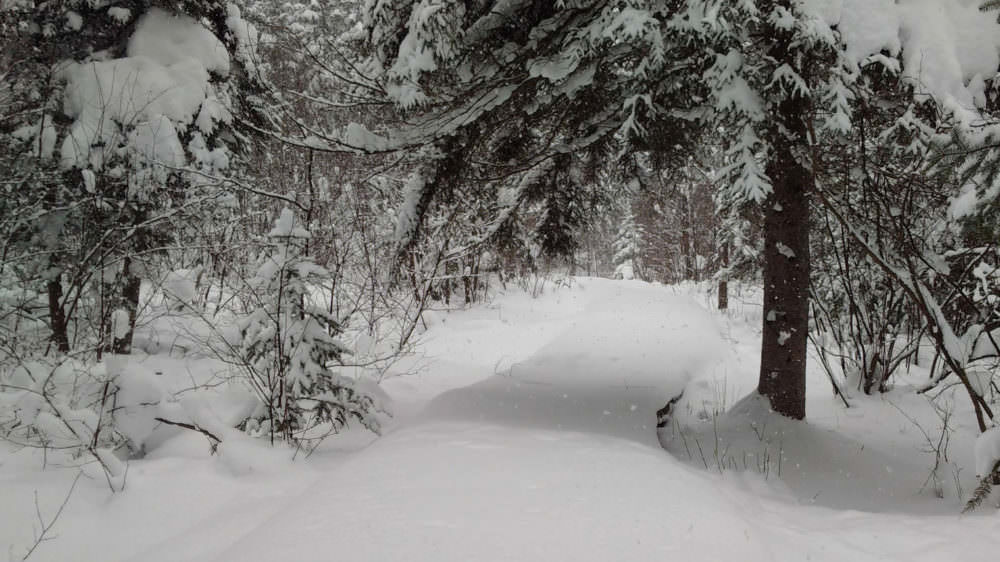 Echo Valley Nature & Bike Trails
