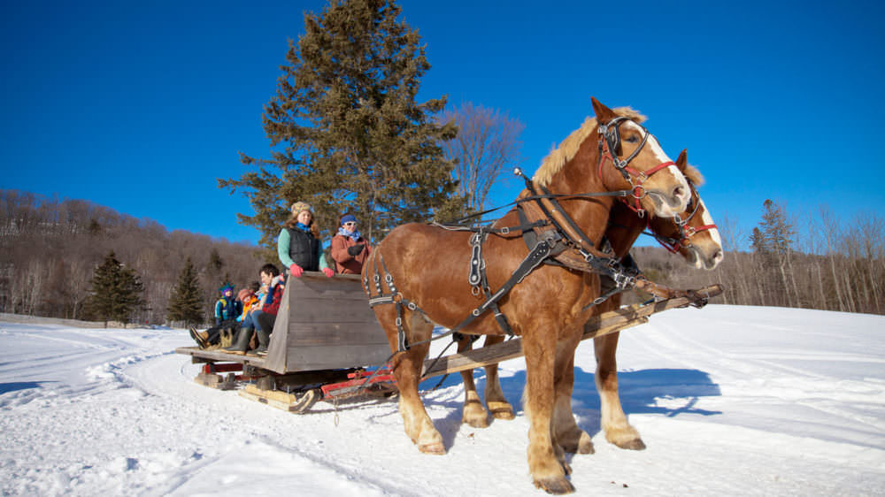 Sleigh and Wagon Rides