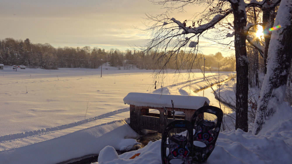 Muskoka Lakes Farm & Winery