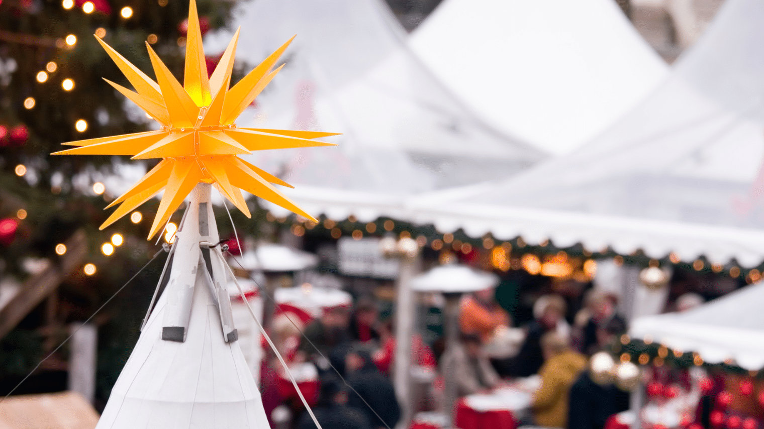 Festivities that may get your entire household into the vacation spirit (even your resident “Grinch”)