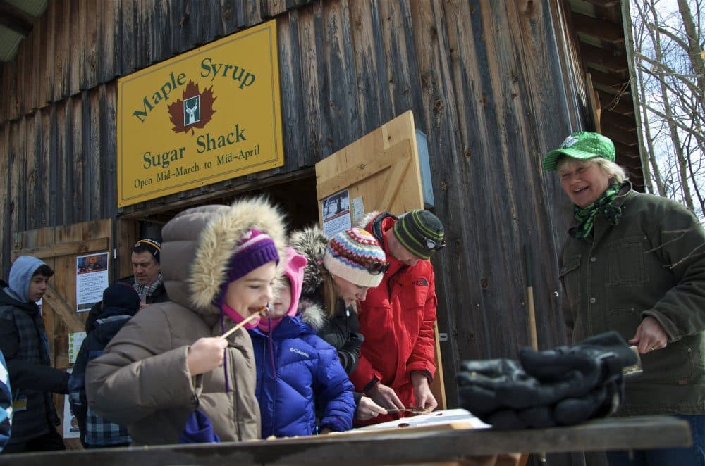 Our Favourite Ways to Springtime in Muskoka Discover Muskoka