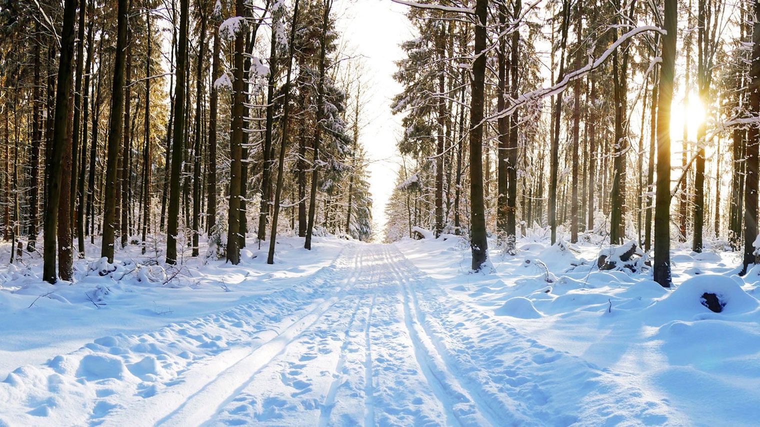 cross country ski trails open near me