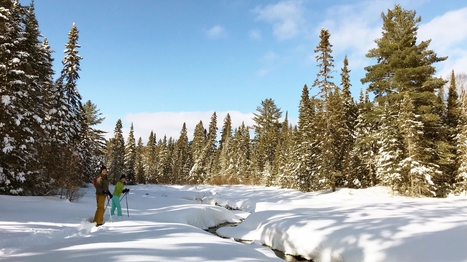 Skating Trails and Rinks in Muskoka